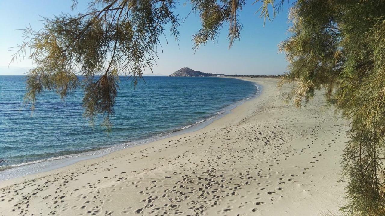Naxos Is The Way Apartment
